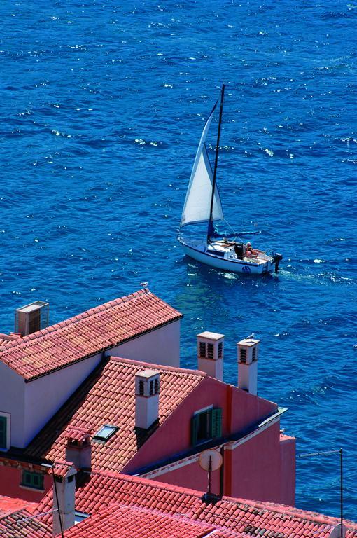 Apartments Alice Rovinj Kültér fotó